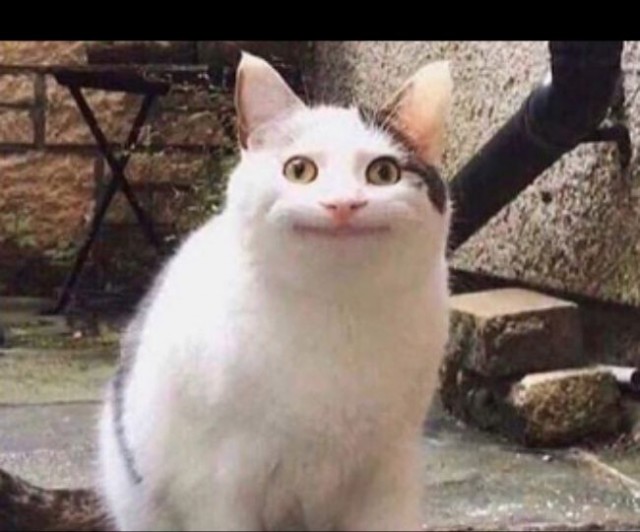 Упоротый Джа-дзен-пост