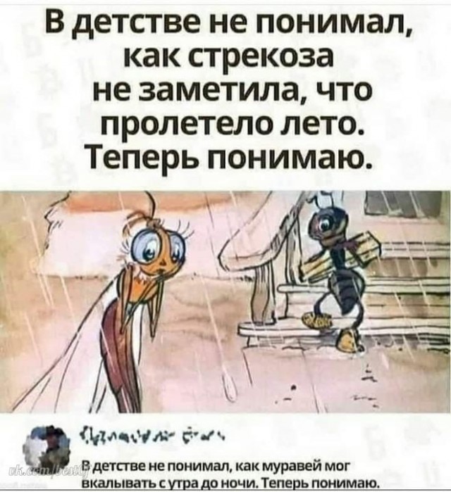 Кретинизмы из сети 16.08.2021
