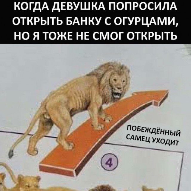 Где остальные?