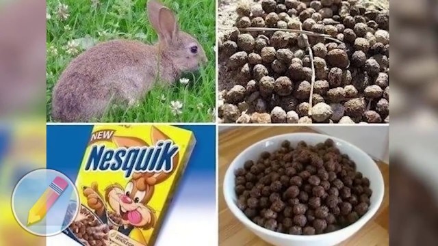 Зеленский: Россия считает меня крепким орешком