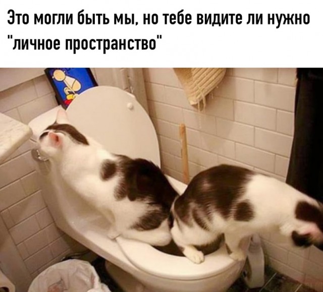 Картинки и мемы для настроения 27.01.2022