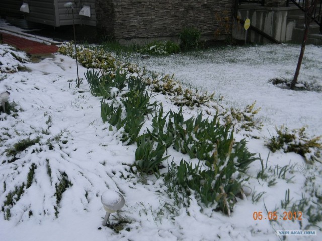 Это Калгари,сынок.