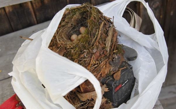 Шлифмашинка сдохла. Теперь я без болгарки