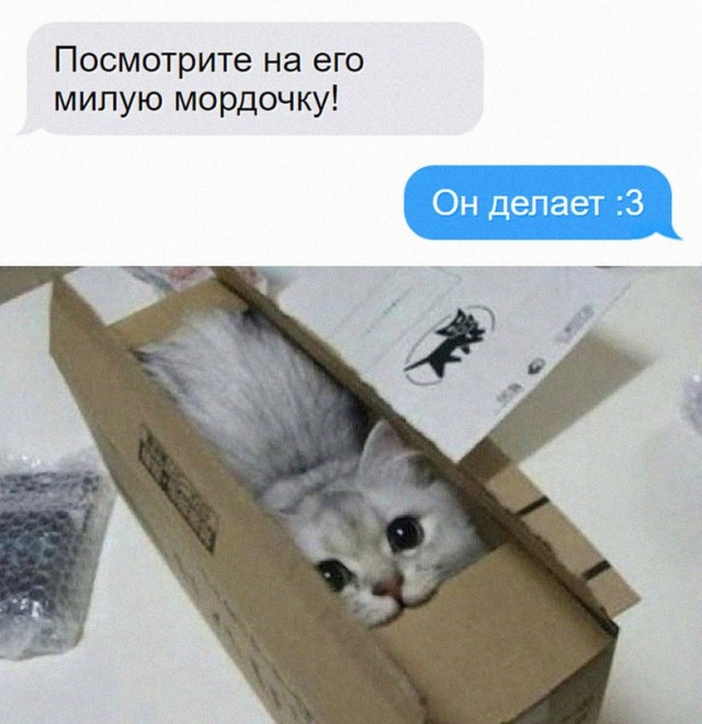 Картинки и мемы для настроения - 23