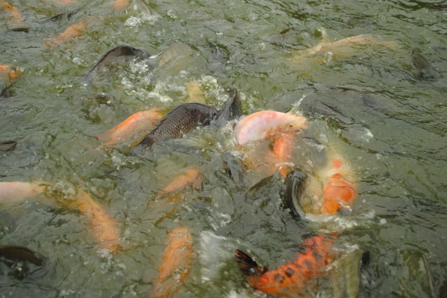 Тайланд: Бангкок, Паттайя, Ко Самет