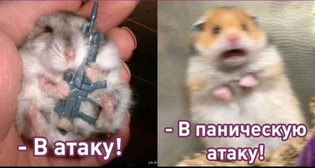 Пандемия съехавших крыш - разновидности болезни. Россия и мир. Часть 43.