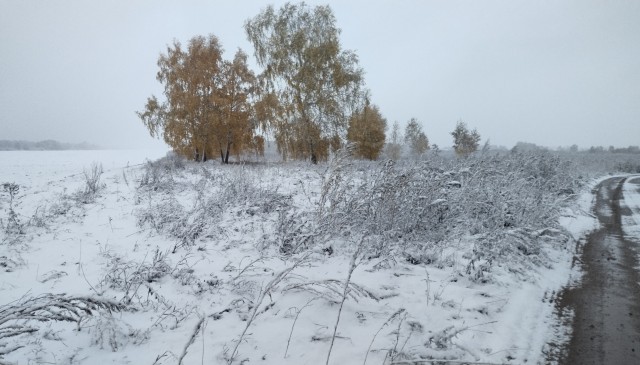 Поделимся красивыми фото с телефона?