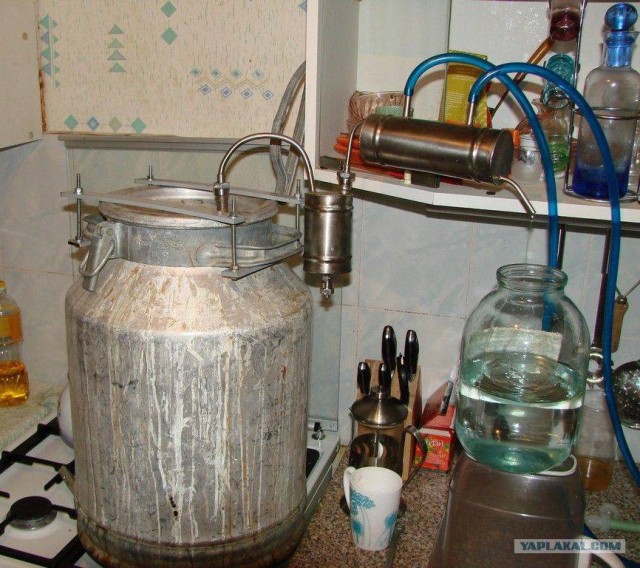 Недешевые причуды богатых