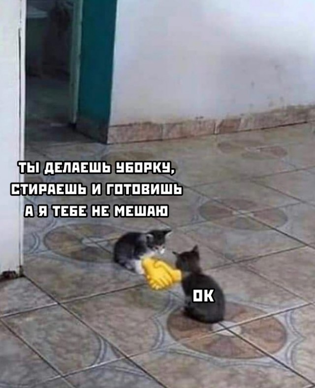 Картинки и мемы для настроения - 131