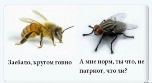 Деды победили, внуки победят!