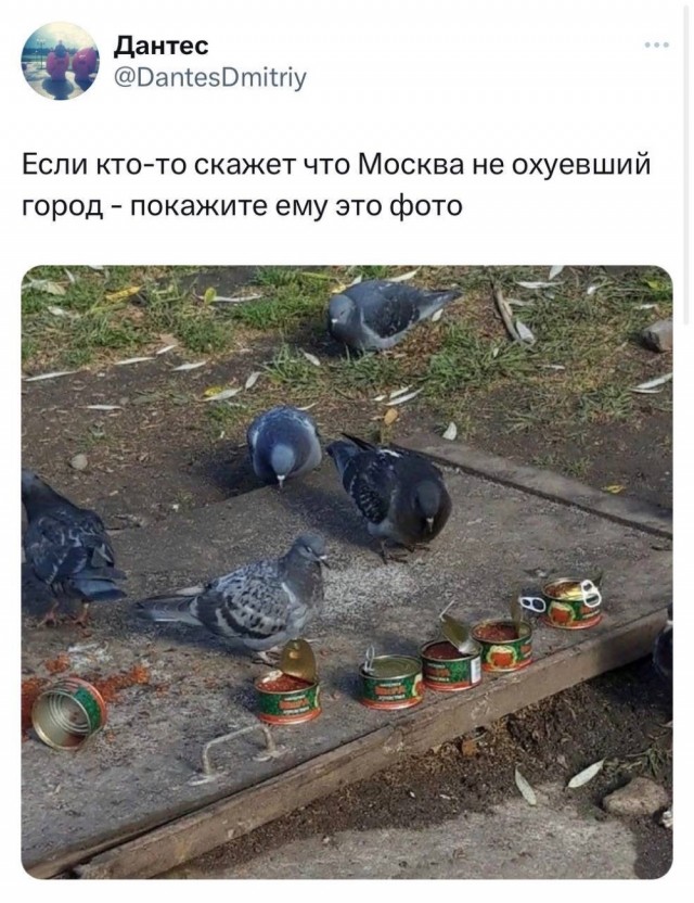 В мэрии Москвы сообщили, что социальную помощь получает каждый третий горожанин