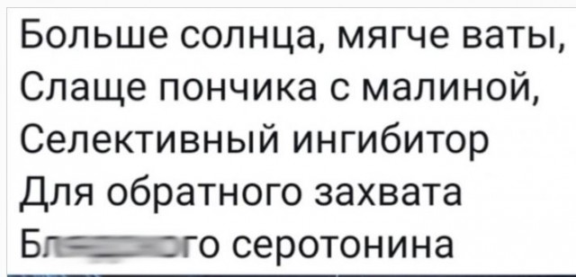Весёлый полтишок 04.08.23