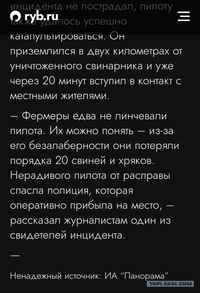 Румынские фермеры чуть не линчевали украинского пилота, самолёт которого уничтожил свинарник