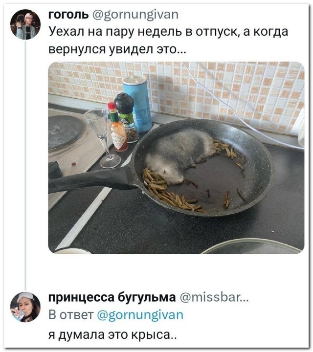 Забавные комментарии из социальных сетей (27.11.23)