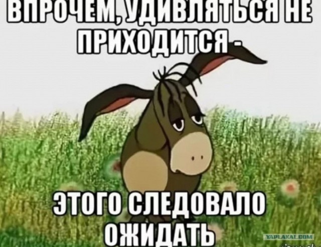 Если честно, я разочарован уровнем наших селебрити