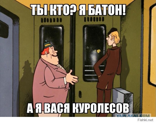 Котенок с приюта