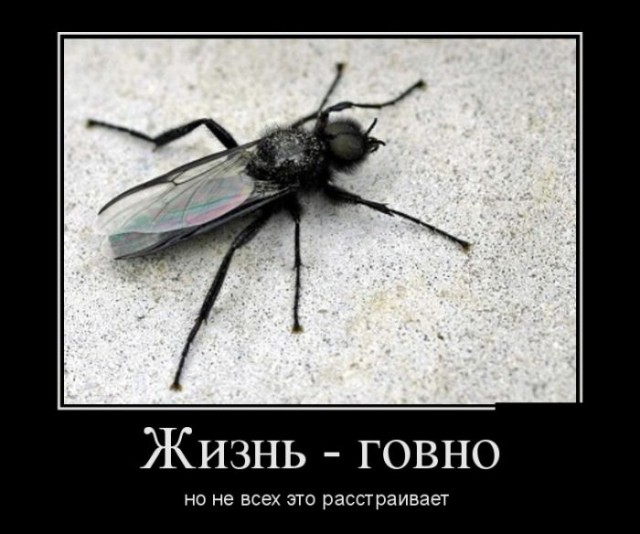 Почему я за СССР и за социализм. Коротко, одной фразой⁠⁠