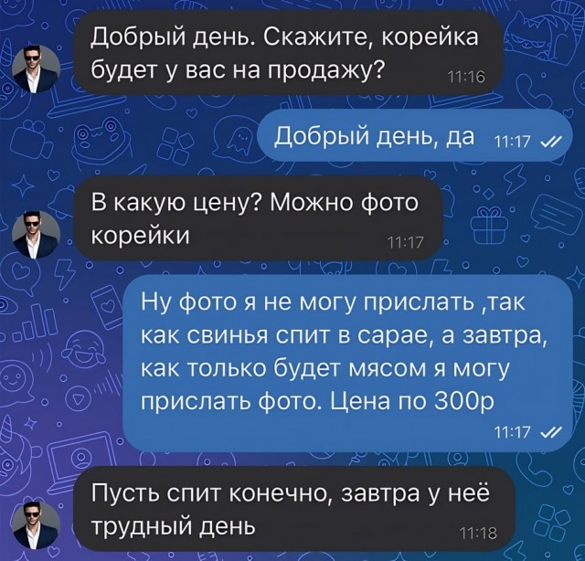 Так себе картинки 17.02.24