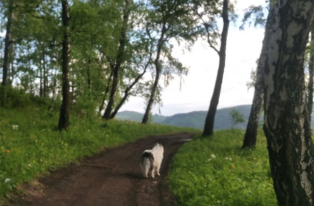 Съездили в Красноярск на майские