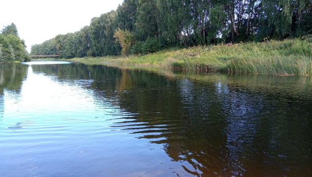 Как чистят водоёмы в Китае