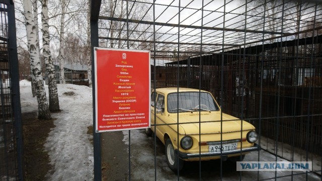 Так себе картинки 04.02.25