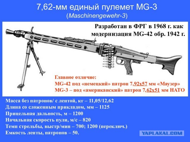 Дятел и антенна