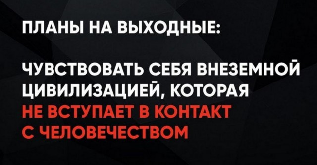 Так себе картинки 29.04.25