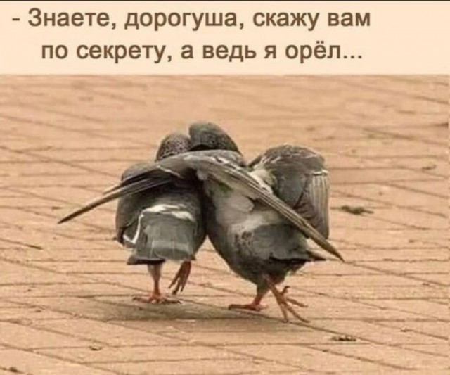 Прикольные и просто красивые картинки 08.05.2025