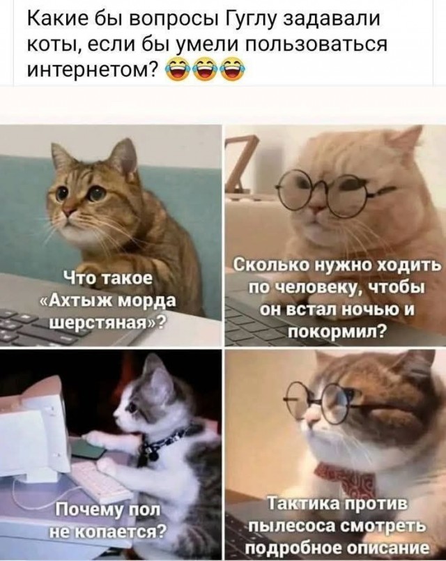 Завалялось тут случайно немного забавных картинок
