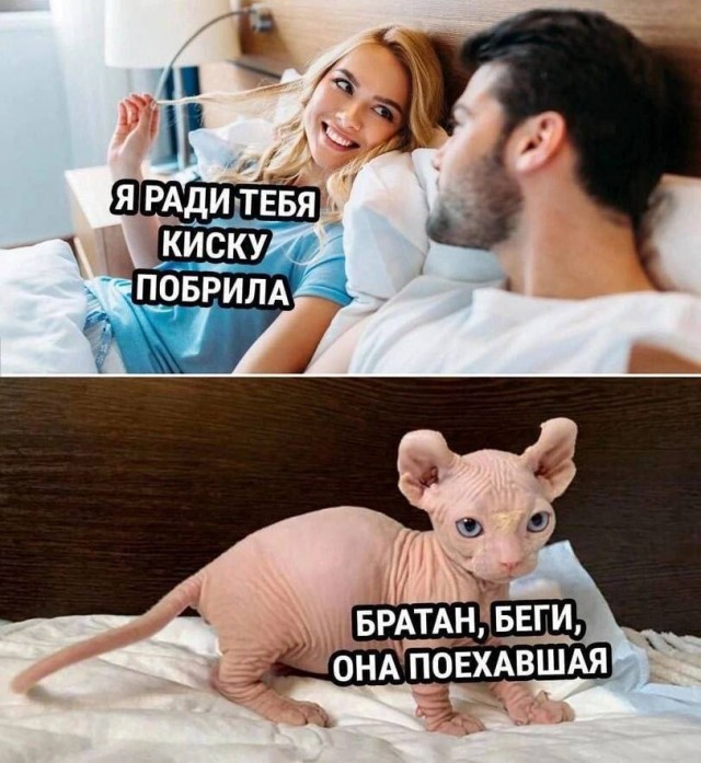 Нуштош 04.07.2025. Обитатели обители теней (s4e2)