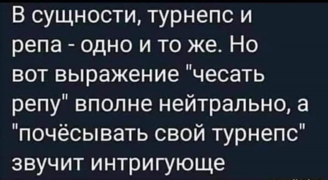 Так себе картинки 27.07.25