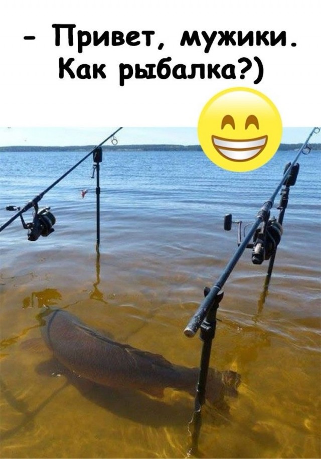 Четверг в картинках