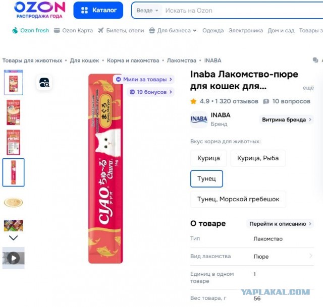 Надежно зафиксированная девушка в предварительных ласках не нуждается