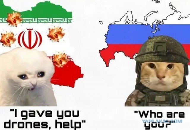 Оказать военную поддержку Ирану призывает депутат Госдумы