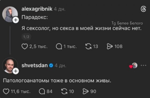 Веселые картинки в пятницу (06.03)