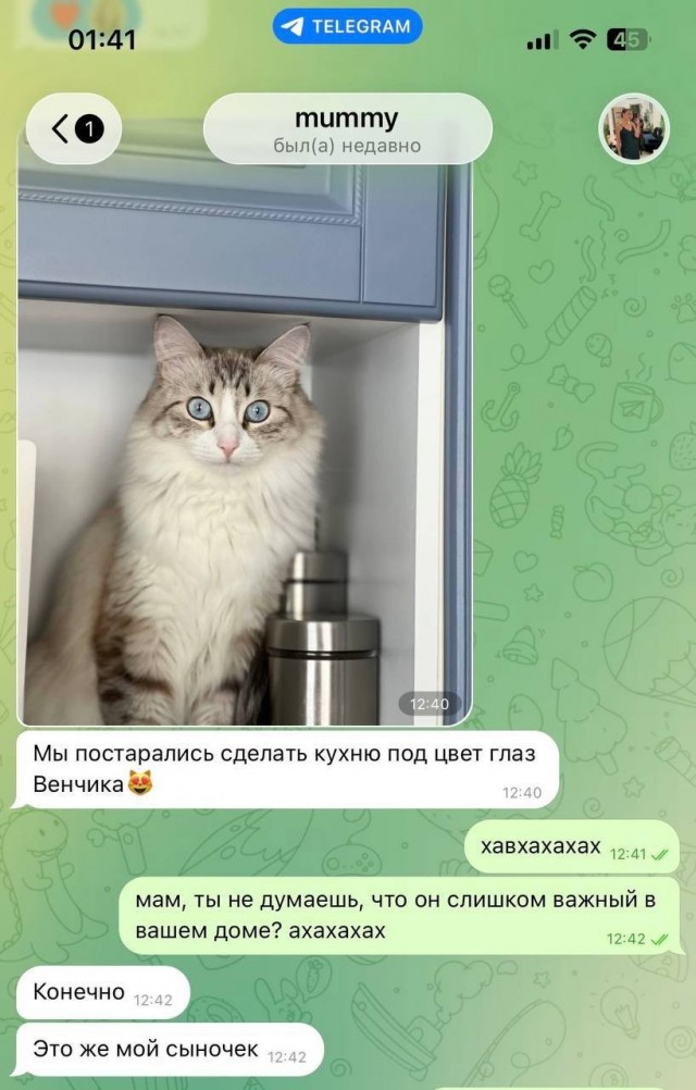 Кошатниками не рождаются — ими становятся