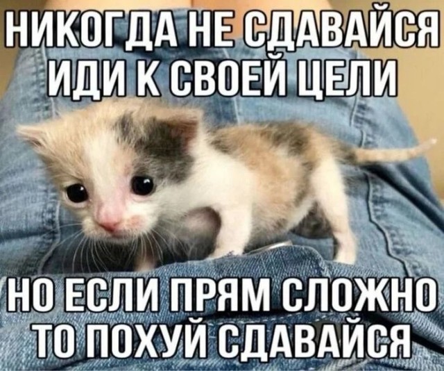 Котямбосы