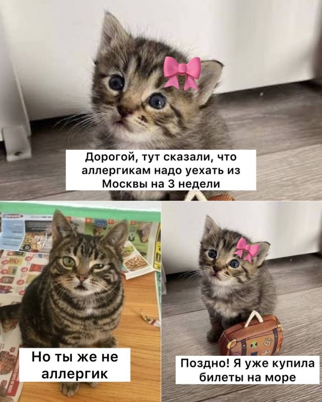 Врач посоветовала аллергикам уехать из Москвы на 2-3 недели в период пыления берёзы