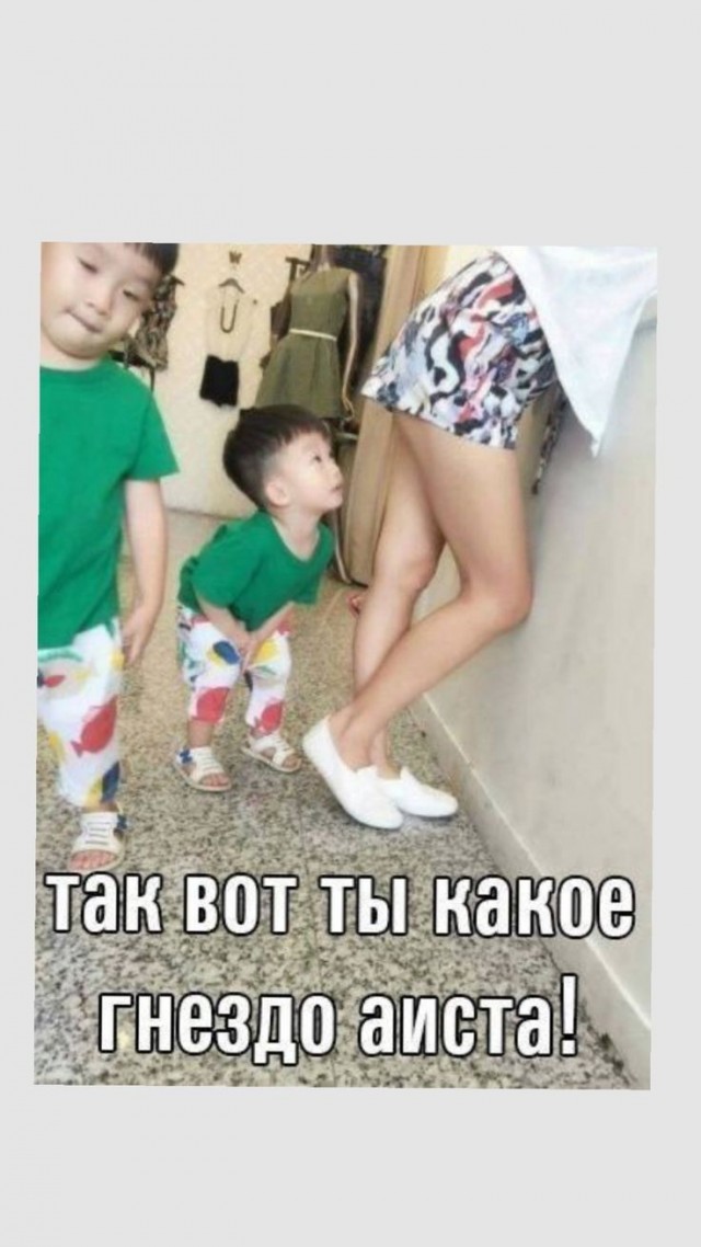 Картинки для деградации 237 (разной степени свежести)
