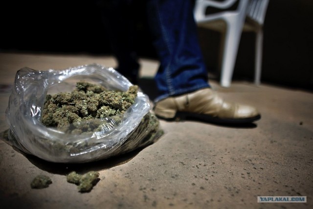 Легализация марихуаны