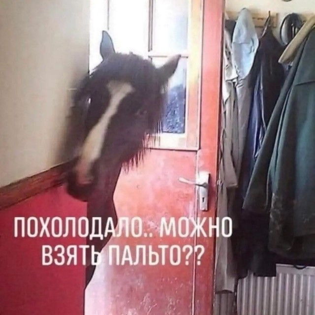 Так себе картинки 25.10.26