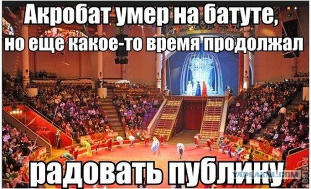 Приколы и маразмы 2