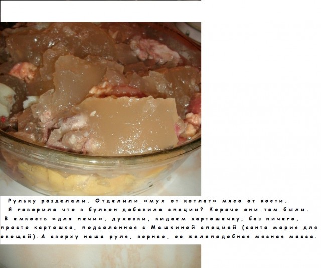 Морские гады-залиВные.