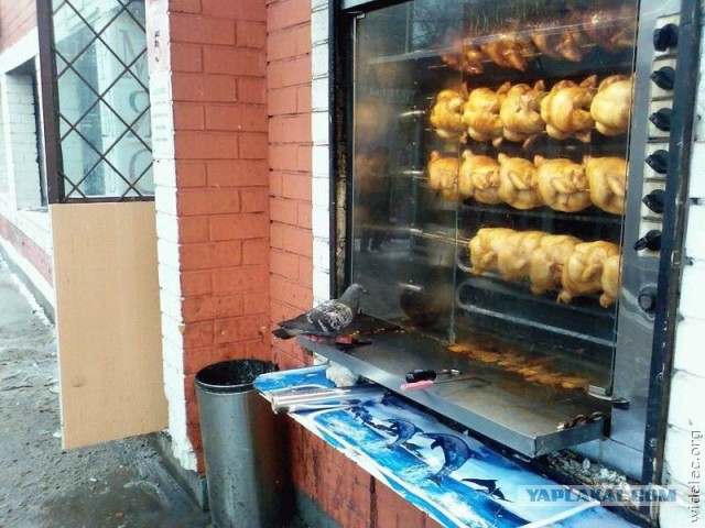 Чёрный юмор