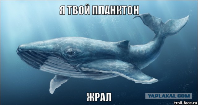 Опубликованные в Сети документы как бы подтвердили