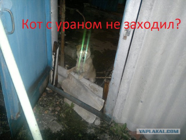 Забавные картинки из сети