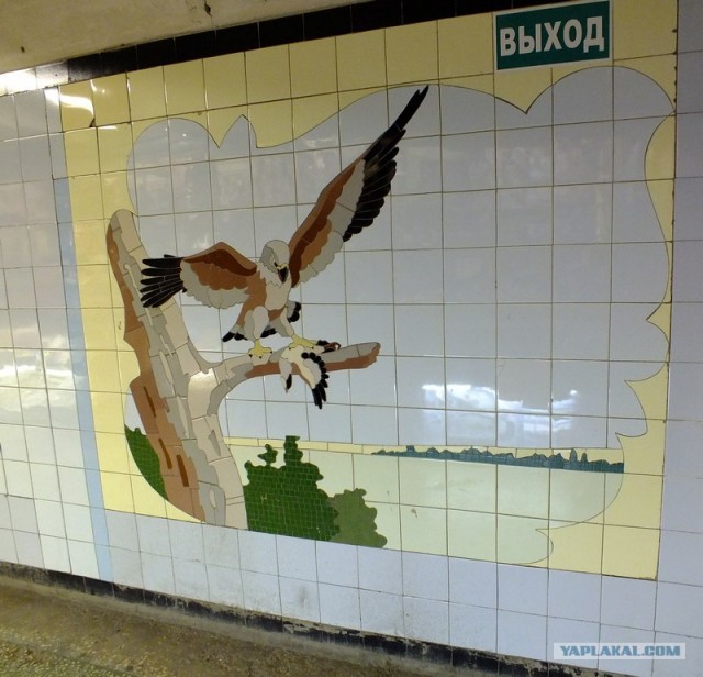 Пермь. Подземный переход — океанариум