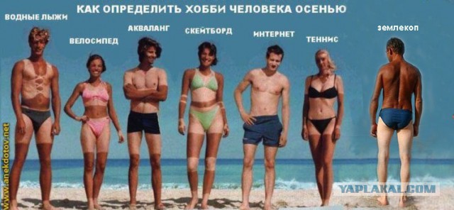 Летняя пора