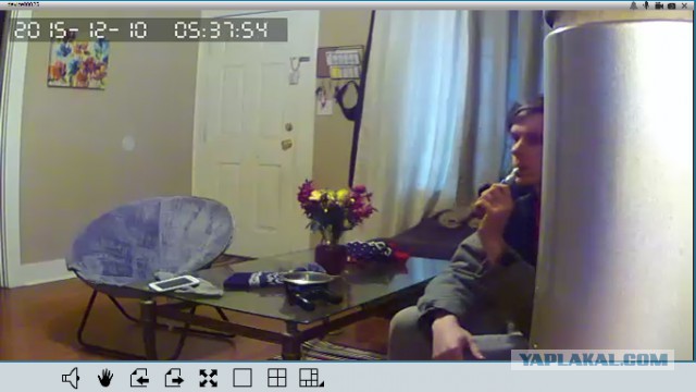 За что я люблю китайцев