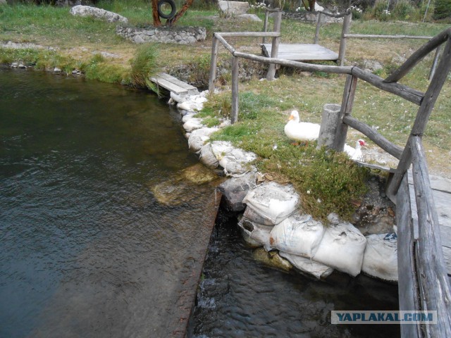 Рыбная ферма. Эквадор